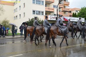 nik_015361_queechie.jpg