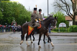 nik_015445_aiveiroh.jpg