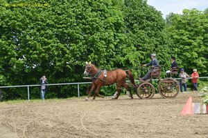 nik_016072_loopulic.jpg