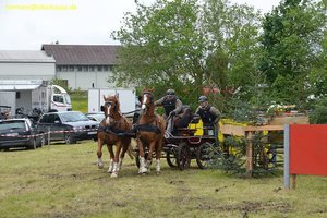 nik_017172_riepeele.jpg