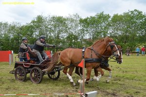 nik_017176_hoobeish.jpg