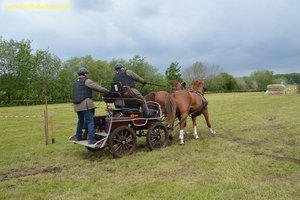 nik_017177_ziangudo.jpg