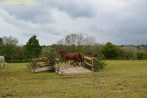 nik_017188_oofooxae.jpg