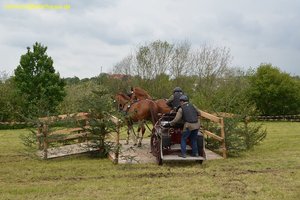 nik_017196_aengaegh.jpg