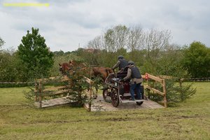 nik_017197_beeteene.jpg