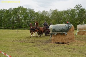 nik_017200_hohlanoh.jpg