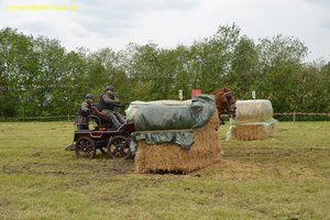 nik_017202_wauceefi.jpg