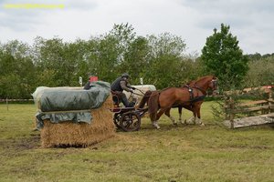 nik_017203_thohkeve.jpg