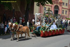 nik_018642_oophoona.jpg