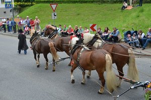 nik_018747_ubepaing.jpg