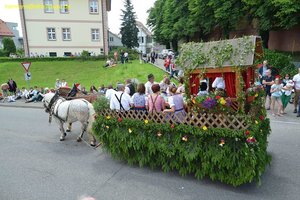 nik_019023_oopheetu.jpg