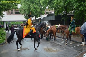 nik_028233_ahkahjei.jpg