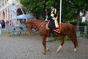 nik_028300_uifaingi.jpg
