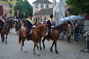 nik_028313_joochiex.jpg