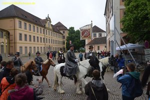 nik_028355_euheipie.jpg