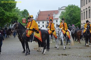nik_028411_niquaina.jpg