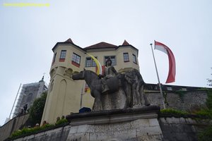 nik_028421_beefeezu.jpg