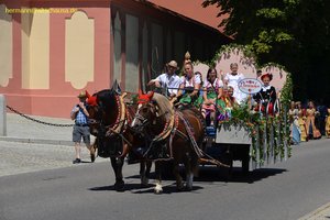 nik_044972_vz01_kqrtihtijt.jpg