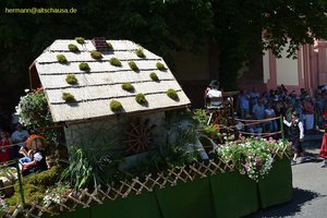 nik_045303_vz01_hfelnnlpet.jpg